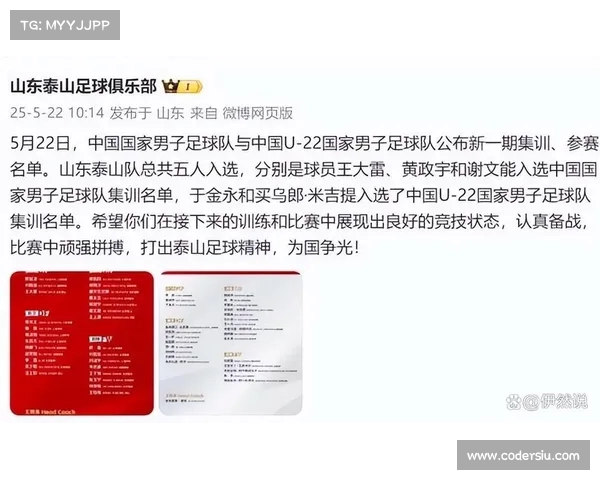 陈永:泰山队进攻模式单一战术限制泽卡发挥潜力 陈永:泰山队进攻模式单一战术限制泽卡发挥潜力